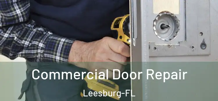  Commercial Door Repair Leesburg-FL