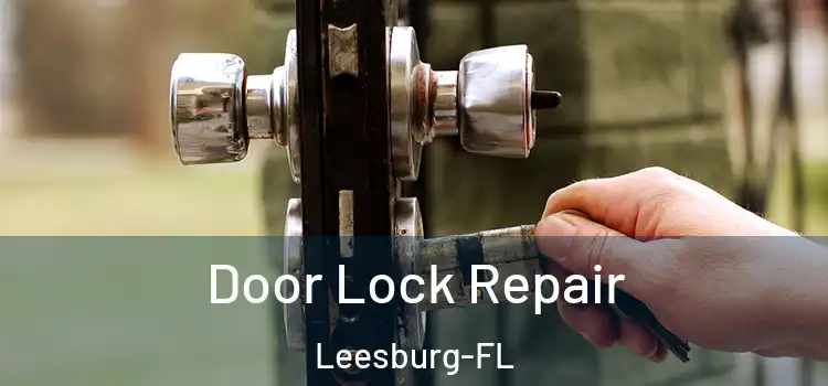 Door Lock Repair Leesburg-FL