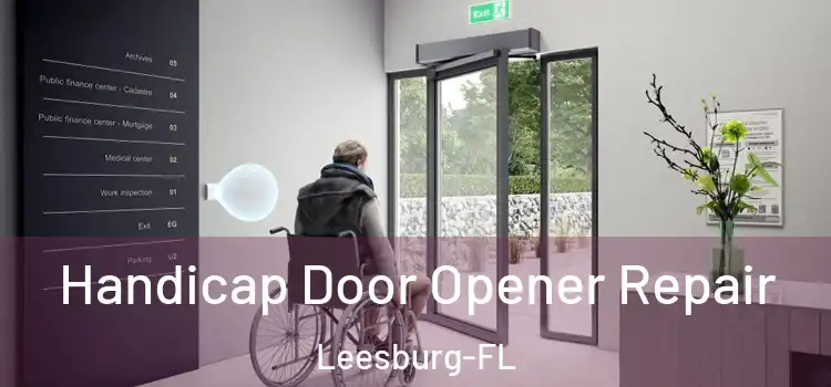  Handicap Door Opener Repair Leesburg-FL