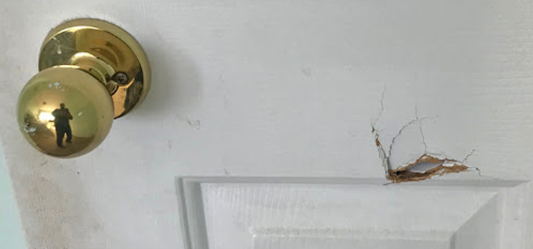 interior door hole repair Leesburg