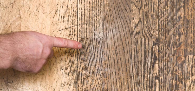 Wood Door Scratch Repair in Leesburg