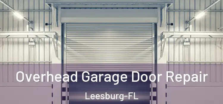  Overhead Garage Door Repair Leesburg-FL